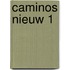 Caminos nieuw 1