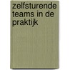 Zelfsturende teams in de praktijk door Astrid Vermeer