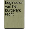 Beginselen van het burgerlyk recht by Goethem