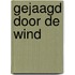 Gejaagd door de wind