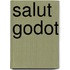 Salut Godot