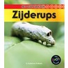 Zijderups by Ron Fridell