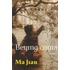 Beijing Coma