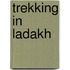 Trekking in Ladakh