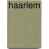 Haarlem by Jan Heemskerk