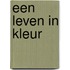 Een leven in kleur
