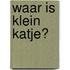 Waar is klein katje?