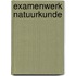 Examenwerk Natuurkunde