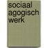 Sociaal agogisch werk