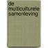 De multiculturele samenleving