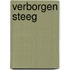 Verborgen steeg