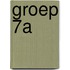 Groep 7A