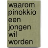 Waarom Pinokkio een jongen wil worden door H. Wynants