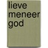 Lieve meneer god