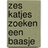 Zes katjes zoeken een baasje