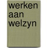 Werken aan welzyn door Susan Hahn