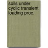 Soils under cyclic transient loading proc. door Onbekend