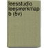 LEESSTUDIO LEESWERKMAP B (5V)