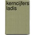 Kerncijfers LADIS