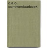 C.A.O. commentaarboek by F. Wyckmans