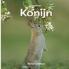 Konijn door Michael Teitelbaum