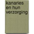 Kanaries en hun verzorging