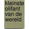 Kleinste olifant van de wereld door Wilkon