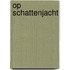 Op schattenjacht