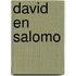 David en salomo