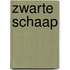 Zwarte schaap