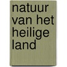 Natuur van het Heilige Land by Unknown
