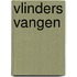 Vlinders vangen