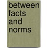 Between facts and norms door P. Borry