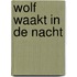 Wolf waakt in de nacht