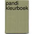 Pandi kleurboek