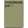 Moduleboek jaar 1 by J. Schilleman