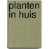 Planten in huis