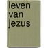 Leven van jezus