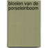 Bloeien van de porseleinboom
