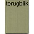 Terugblik