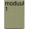 Moduul 1 door Y. Kalhoven