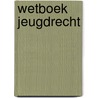 Wetboek jeugdrecht by Johan Put