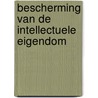Bescherming van de intellectuele eigendom by G. van Empel