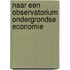 Naar een observatorium ondergrondse economie
