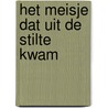 Het meisje dat uit de stilte kwam by Fiona Bollag