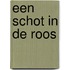 Een schot in de roos