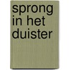 Sprong in het duister door W. Burge