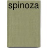 Spinoza by Vries