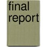 Final report