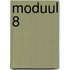 Moduul 8
